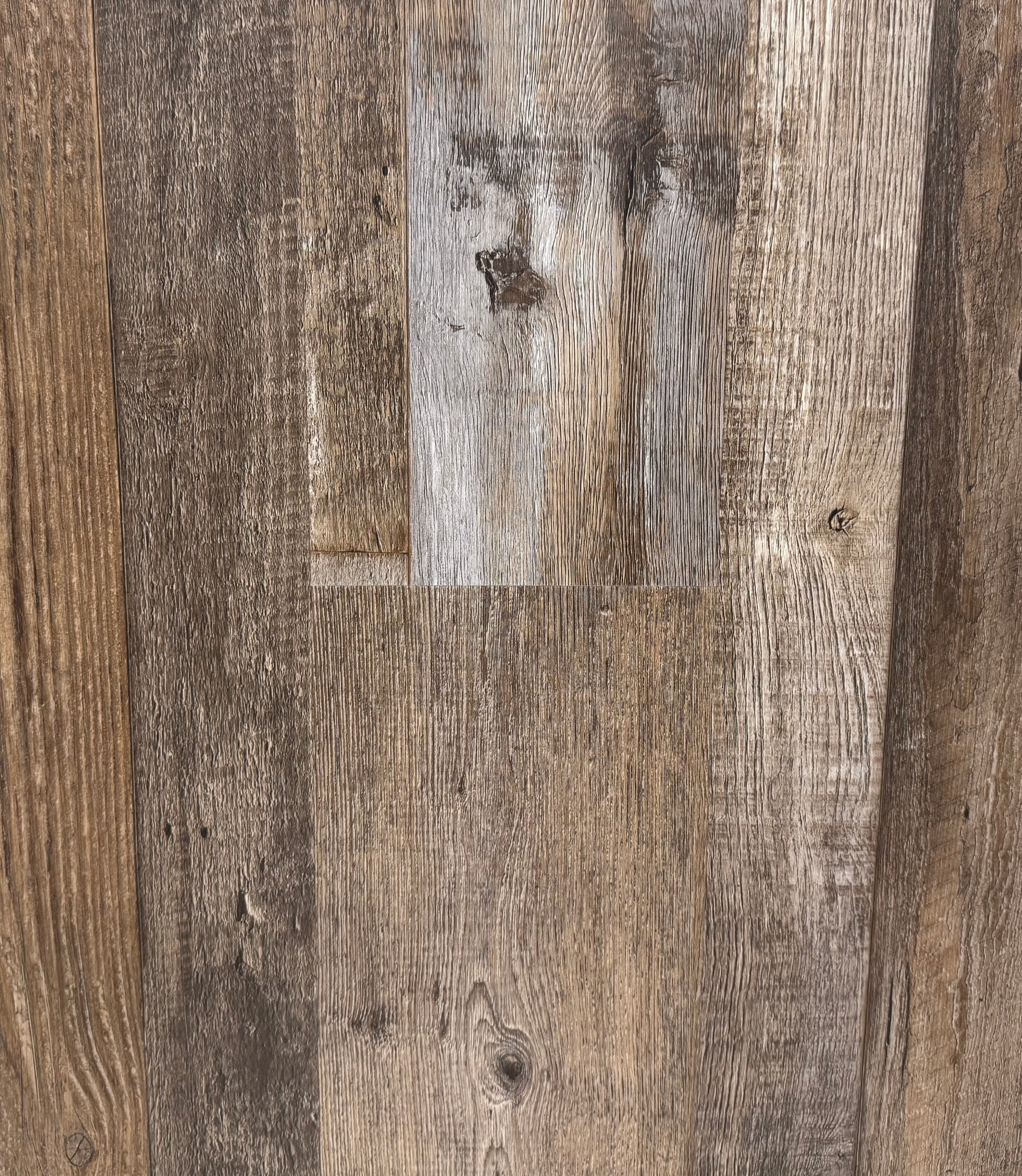 AR141 Petrified Forest Lite